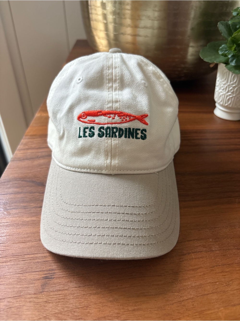 Aerie Les Sardines Baseball Hat